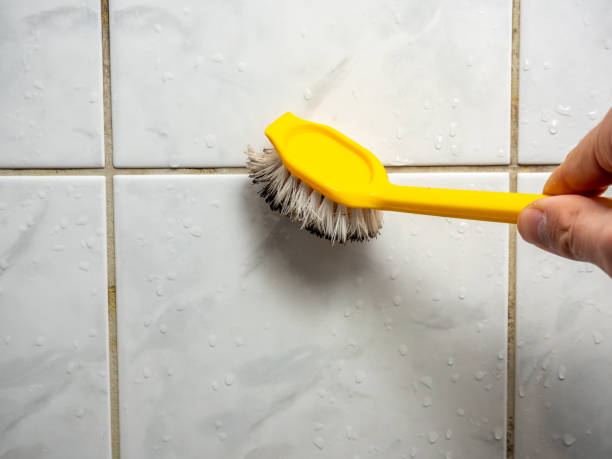 Best Mold Remediation Services  in North Haverhill, NH