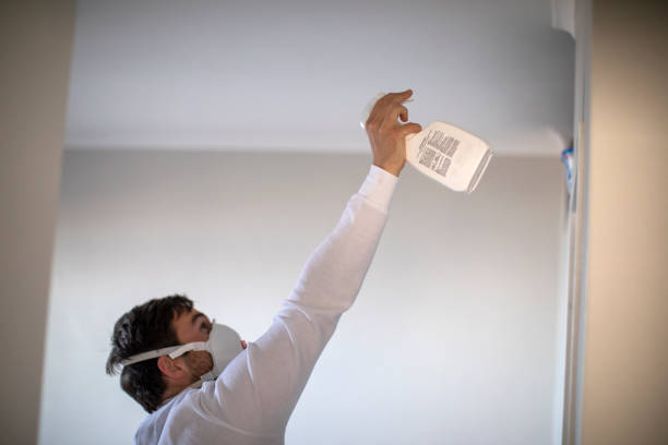 Best Toxic Mold Removal  in North Haverhill, NH