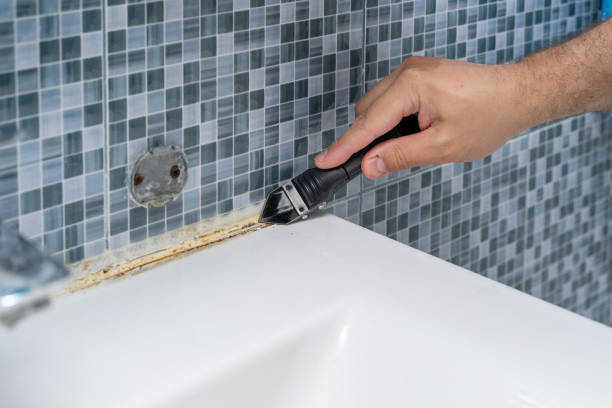 Best Residential Mold Removal  in North Haverhill, NH