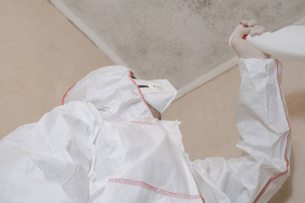 Best Same-Day Mold Removal  in North Haverhill, NH