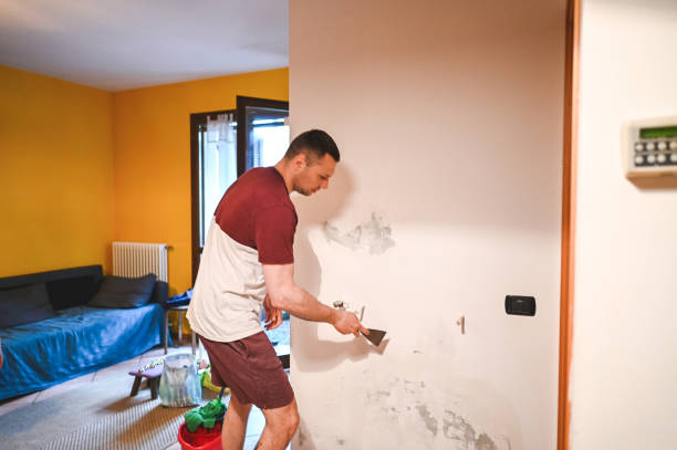 Best Emergency Mold Removal  in North Haverhill, NH